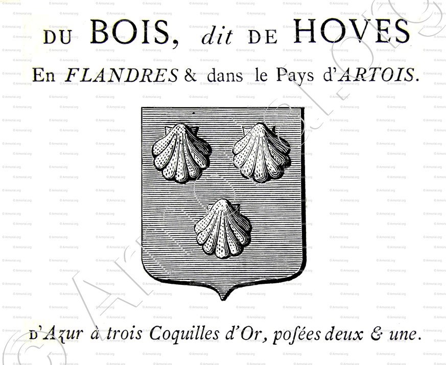 Du  BOIS dit De HOVES_Flandres,  Pays d'Artois._France