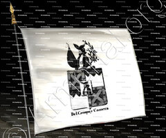 drapeau-DEL CAMPOY CAMERA_Armorial royal des Pays-Bas_Europe