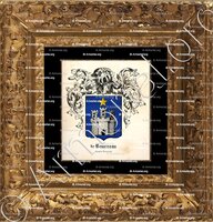 cadre-ancien-or-TOURREAU_Comtat-Venaissin_France (1)
