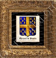 cadre-ancien-or-CHOISEUL de PRASLIN_Champagne, Ile-de-France, Provence_France (2)