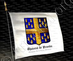 drapeau-CHOISEUL de PRASLIN_Champagne, Ile-de-France, Provence_France (2)