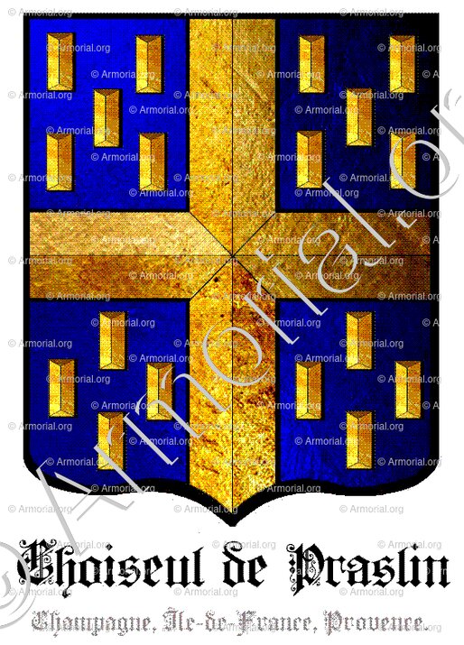 CHOISEUL de PRASLIN_Champagne, Ile-de-France, Provence_France (2)