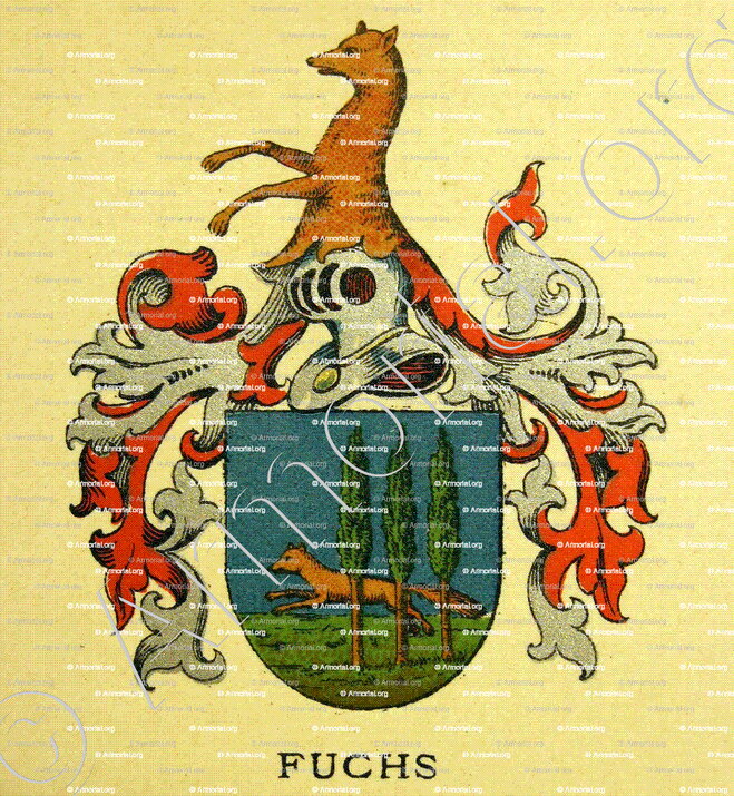 FUCHS_Bâle (Basel)_Suisse (Schweiz)