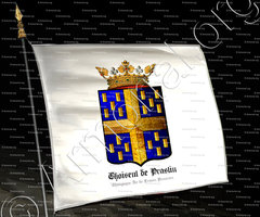 drapeau-CHOISEUL de PRASLIN_Champagne, Ile-de-France, Provence_France (1)