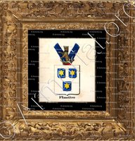 cadre-ancien-or-D'ENNETIERES_Armorial royal des Pays-Bas_Europe