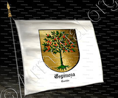 drapeau-ESPINOZA_Castilla_España (i)