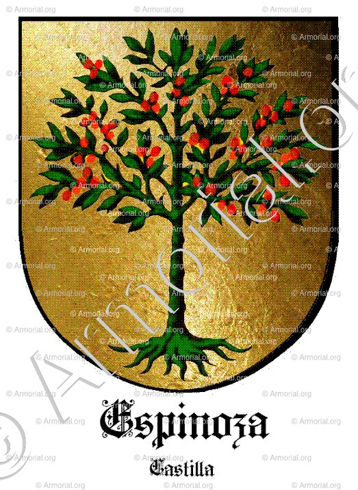 ESPINOZA_Castilla_España (i)
