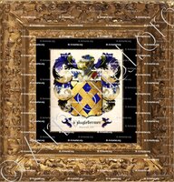 cadre-ancien-or-d'ANGLEBERMER_Soissonnais, 1696._France (1)