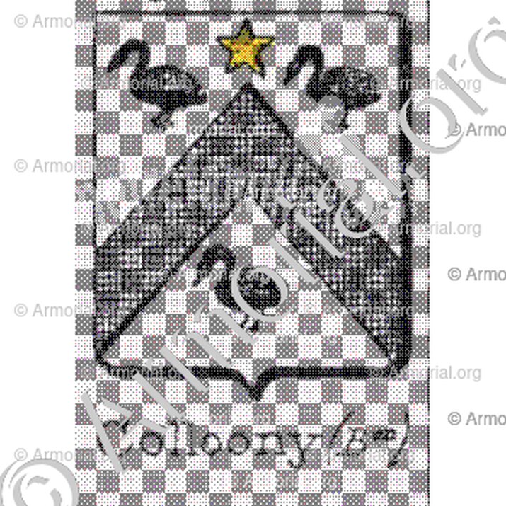 Colloony (Bon.)__