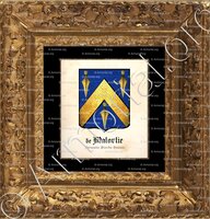 cadre-ancien-or-MALORTIE (de)_Normandie, Picardie, Hanovre._France Allemagne. (2)