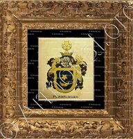 cadre-ancien-or-FÜRBRINGER; Wappenbuch der Stadt Basel . B.Meyer Knaus 1880; Schweiz