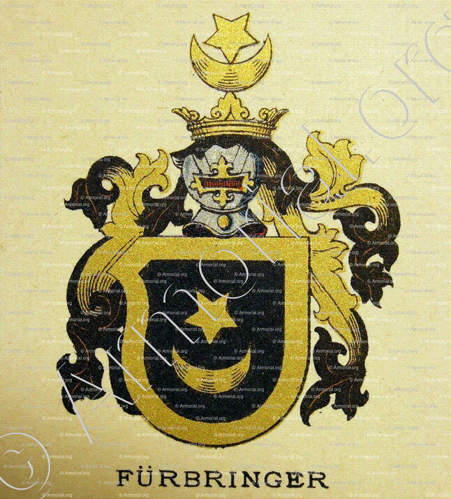 FÜRBRINGER; Wappenbuch der Stadt Basel . B.Meyer Knaus 1880; Schweiz