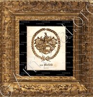 cadre-ancien-or-von ALEFELD_Holstein_ Herzogtum Holstein