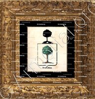 cadre-ancien-or-DES ENFANS_Armorial royal des Pays-Bas_Europe