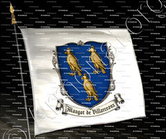 drapeau-MANGOT de VILLARCEAUX_Poitou, Beauce Paris._France (1)