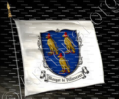 drapeau-MANGOT DE VILLARCEAUX (alias MANGOT DE VILLERAN)_Poitou, Beauce Paris._France (0)