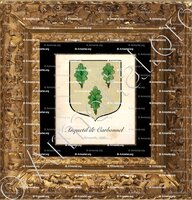 cadre-ancien-or-ANQUETIL de CARBONNEL_Normandie, Caen, 1696._France ()