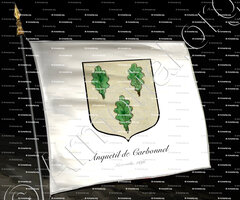 drapeau-ANQUETIL de CARBONNEL_Normandie, Caen, 1696._France ()