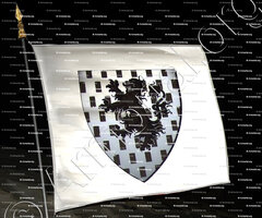 drapeau-GINGINS_Ancien Duché de Savoie_États de Savoie