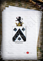 velin-d-Arches-D'ESPIENNES_Armorial royal des Pays-Bas_Europe