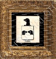 cadre-ancien-or-DESQUIEN_Armorial royal des Pays-Bas_Europe