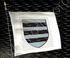 drapeau-GON_Ancien Duché de Savoie_États de Savoie