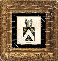 cadre-ancien-or-DEUDON_Armorial royal des Pays-Bas_Europe