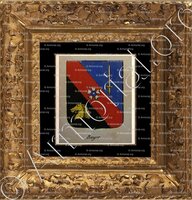 cadre-ancien-or-BOYER_Noblesse d'Empire._France(ii)