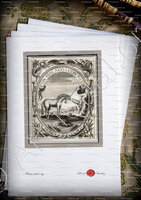 velin-d-Arches-MAXIMILIAN I_Herzog in Bayern_Heiliges Römisches Reich ()