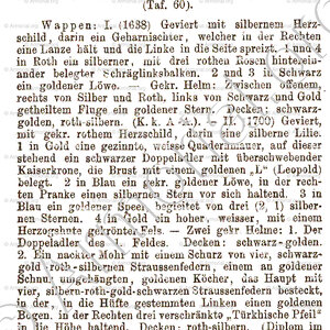 MEYERBERG früher MARINITSCH von MAYERITSCHHOFEN (2).
