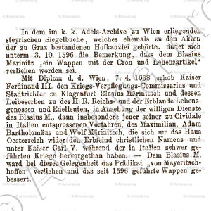 MEYERBERG früher MARINITSCH von MAYERITSCHHOFEN (3).