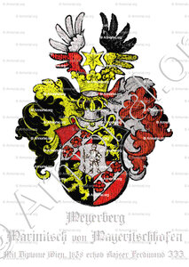 MEYERBERG früher MARINITSCH von MAYERITSCHHOFEN (7).