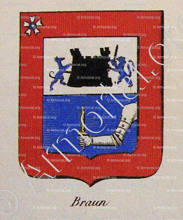 BRAUN_Noblesse d'Empire._France