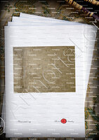 velin-d-Arches-CAPPUCI_armoiries sur pierre tombale à l'Abbaye de Montmajour (Provence)_France