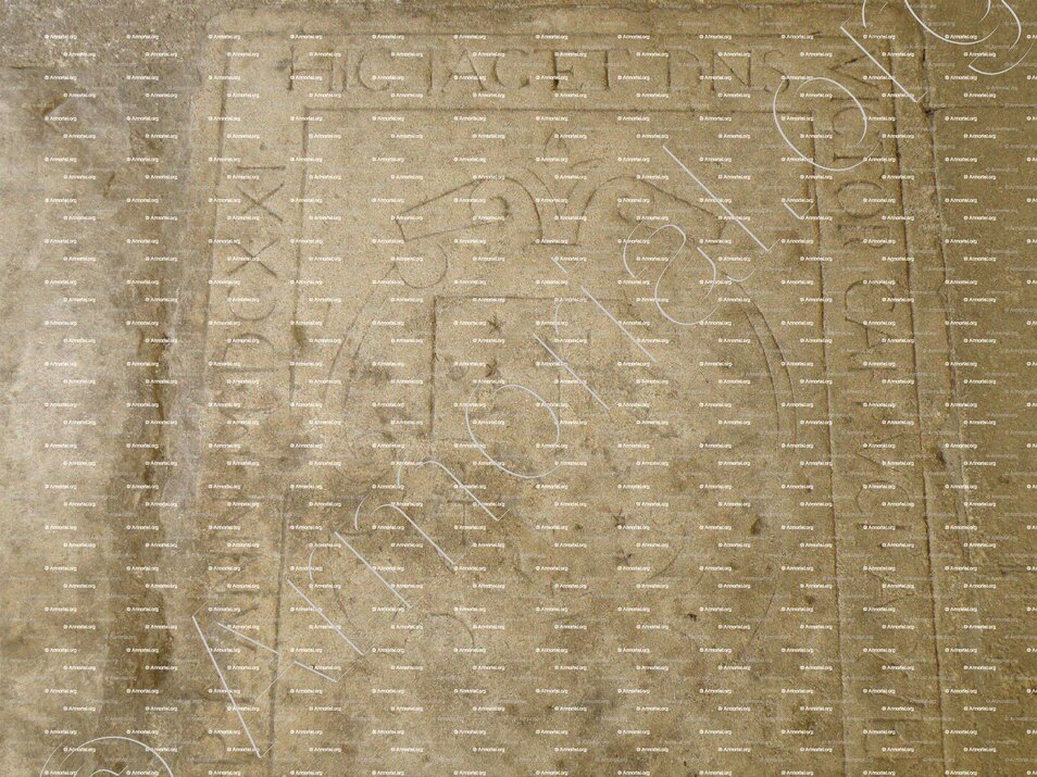 CAPPUCI_armoiries sur pierre tombale à l'Abbaye de Montmajour (Provence)_France