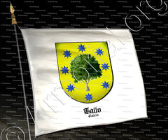 drapeau-TALLO_Galicia_España (i)