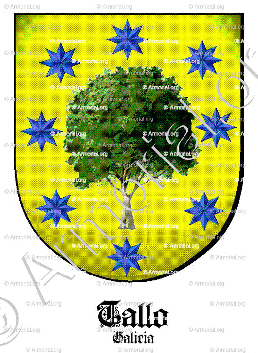 TALLO_Galicia_España (i)