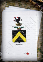velin-d-Arches-D'HINSLIN_Armorial royal des Pays-Bas_Europe