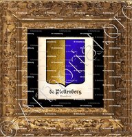 cadre-ancien-or-de PLETTENBERG_Vlaanderen._België