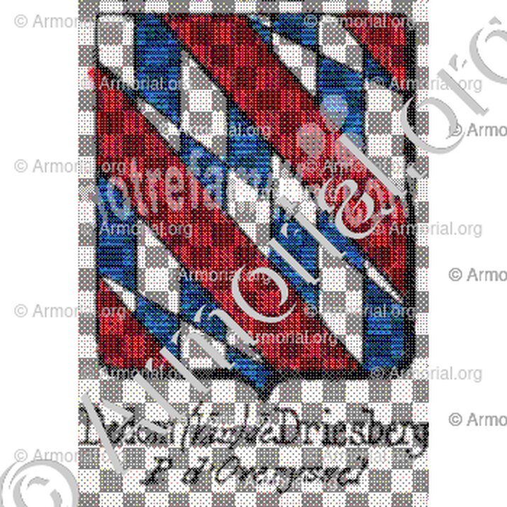 Dedem (Van) de Driesberg__