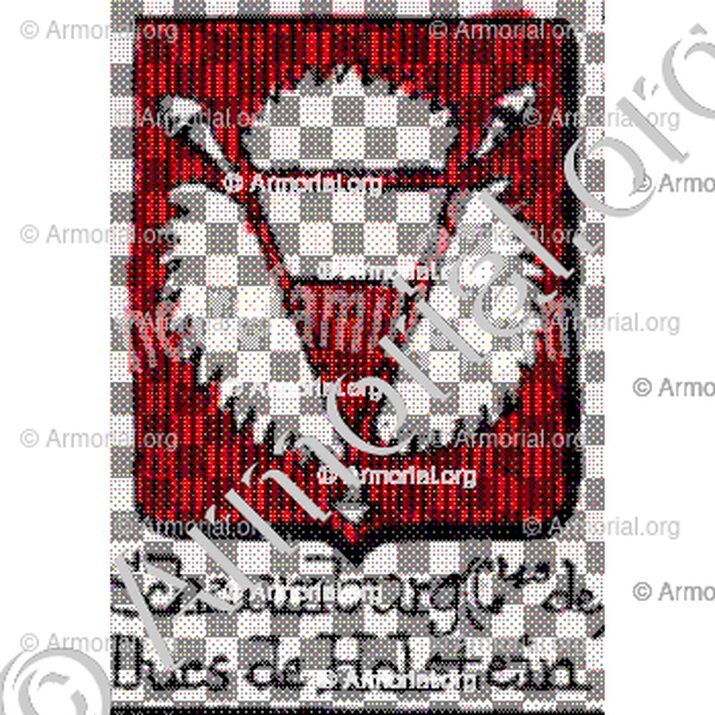 Schaumburg (Ctes. de) Ducs de Holstein__