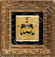 cadre-ancien-or-GEMUSEUS_Wappenbuch der Stadt Basel . B.Meyer Knaus 1880_Schweiz