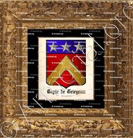 cadre-ancien-or-TAPIE de CELEYRAN_Languedoc_France (2)