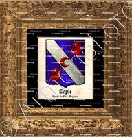 cadre-ancien-or-TAPIE_Comté de Foix, Guyenne._France (i)