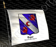 drapeau-TAPIE_Comté de Foix, Guyenne._France (i)