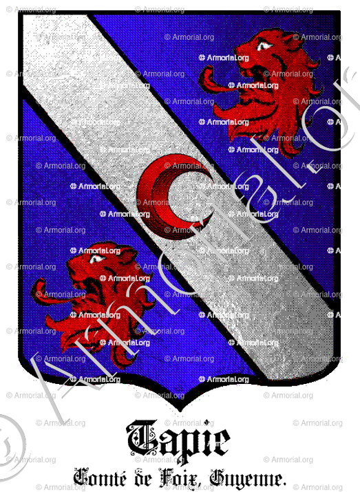 TAPIE_Comté de Foix, Guyenne._France (i)