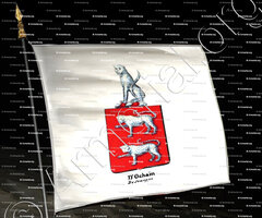 drapeau-D'OCHAIN DE JEMEPPE_Armorial royal des Pays-Bas_Europe