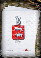 velin-d-Arches-D'OCHAIN DE JEMEPPE_Armorial royal des Pays-Bas_Europe