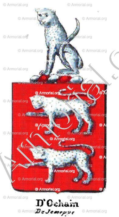 D'OCHAIN DE JEMEPPE_Armorial royal des Pays-Bas_Europe