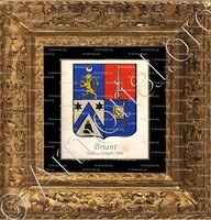 cadre-ancien-or-BRIANT_Noblesse d'Empire,1808._France ()